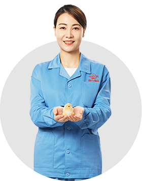 首页-人生就是博手机版